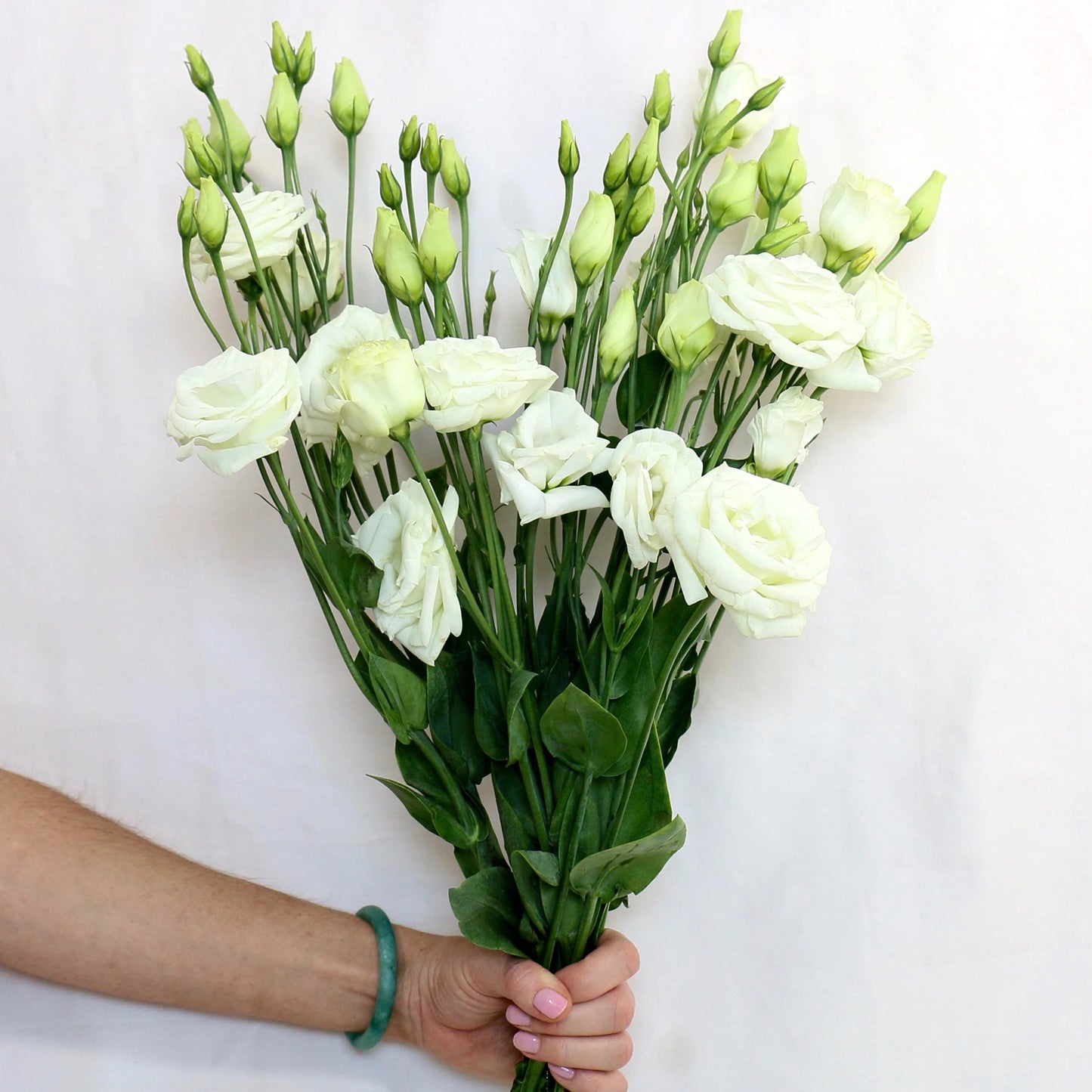 Lisianthus
