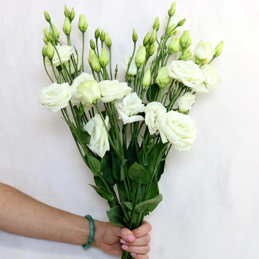 Lisianthus
