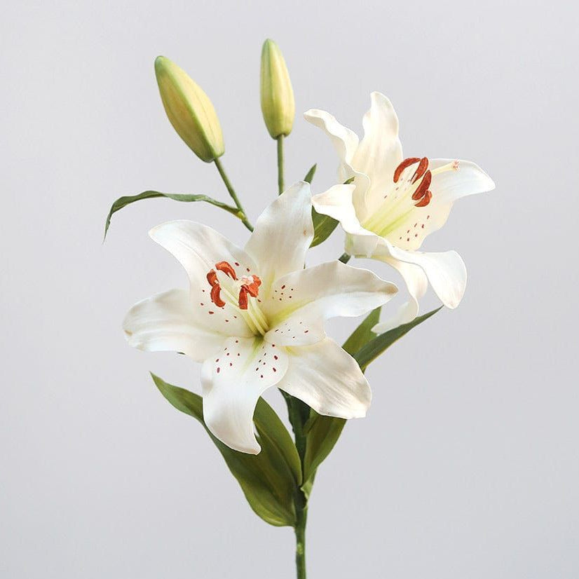 Lilies