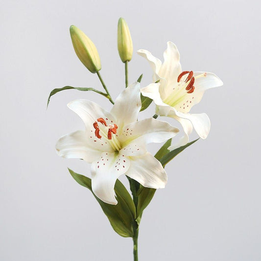 Lilies