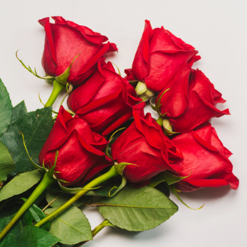 Roses
